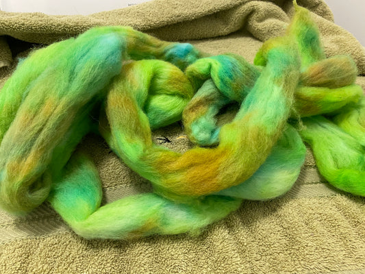 hand dyed Cheviot roving 4 ounces spinners greenblue or bluegreenbrownor orangegreen